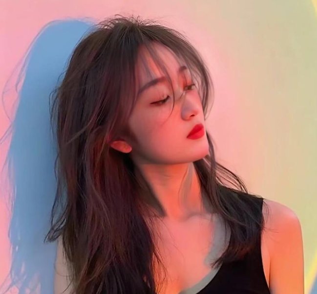 八月鬱金香粤语